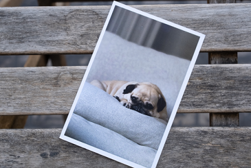 Foto Kart - 10x15 cm - 36 Adet